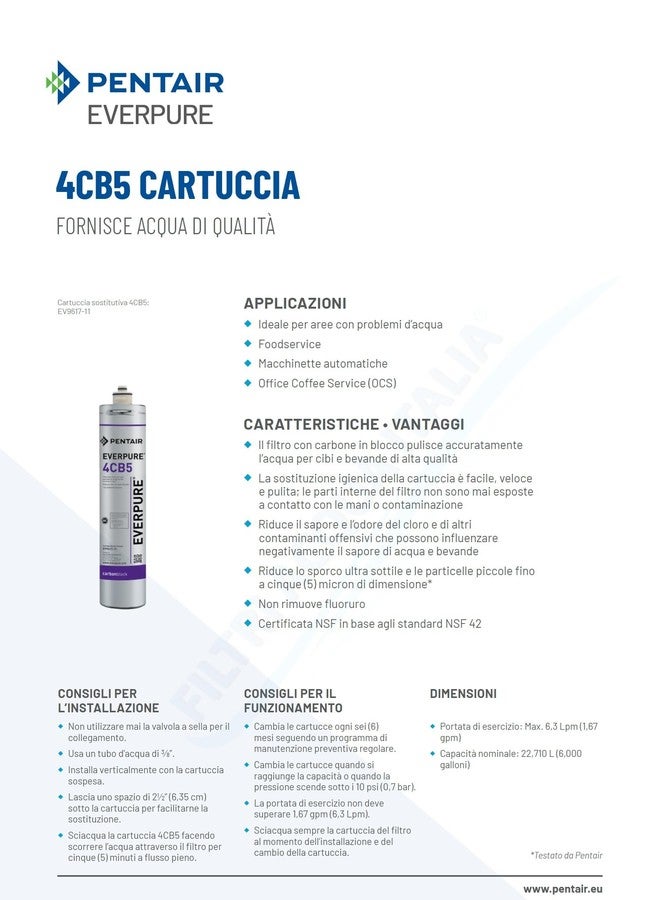 ever pure Everpure EV961716 4CB5 Cartridge - Image 2