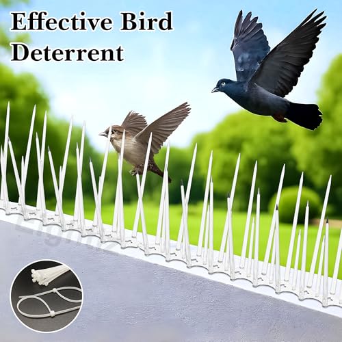 Eightiz (10 Pcs with Zip Ties) Bird and Pigeon Spikes, Control Anti Bird Plastic Spikes for AC Balcony Railing Window Home Protection from Pigeon Dog Monkey Crow Kabootar Transparent(Polycarbonate) - Image 2