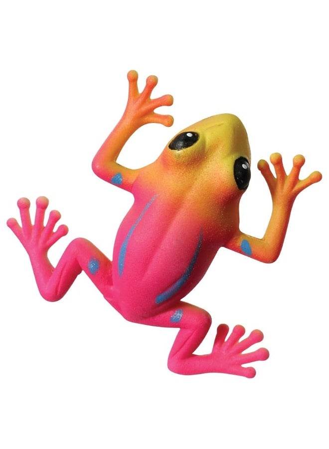 Toysmith Ginormous Grow Frog - Image 5