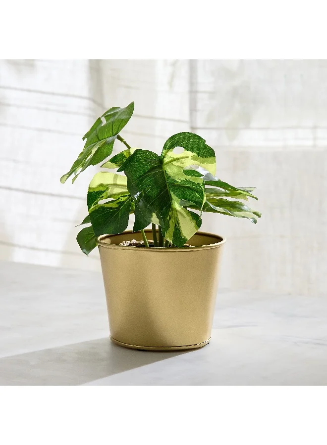 هوم بوكس Avya Basic Metal Plant Pot - 12.5x12.5x10 cm