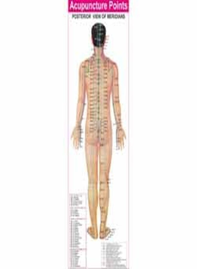 Dr. Choudhary TCM Acupuncture Meridian Point Chart Set of 4, Classical Meridian Acupressure Points on Anterior, Posterior, Lateral Body & Head All Clear Views (Hindi & English Medium) - Image 4