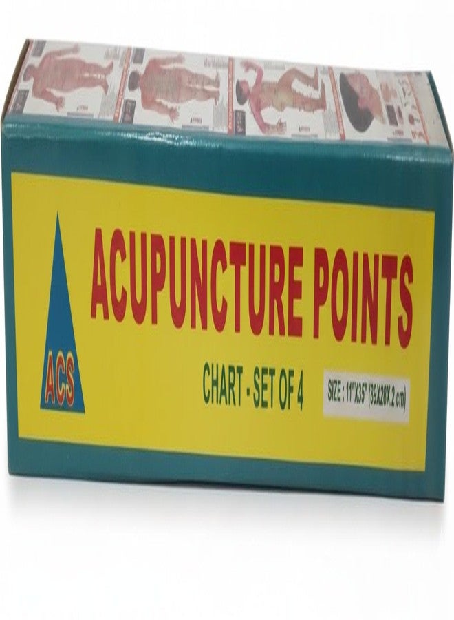 Dr. Choudhary TCM Acupuncture Meridian Point Chart Set of 4, Classical Meridian Acupressure Points on Anterior, Posterior, Lateral Body & Head All Clear Views (Hindi & English Medium) - Image 1
