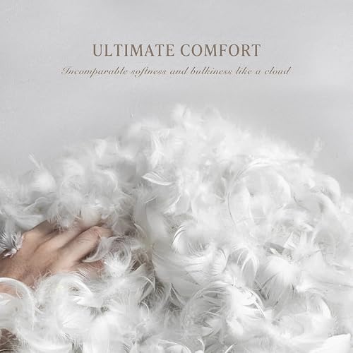 Kathy Ireland Royal Luxe Formerly Kathy Ireland Twin Size White Goose Feather and Down Comforter - 100% Cotton All Season Lightweight Hypoallergenic Duvet Insert with Corner Tabs, 68"x 88" - Image 3
