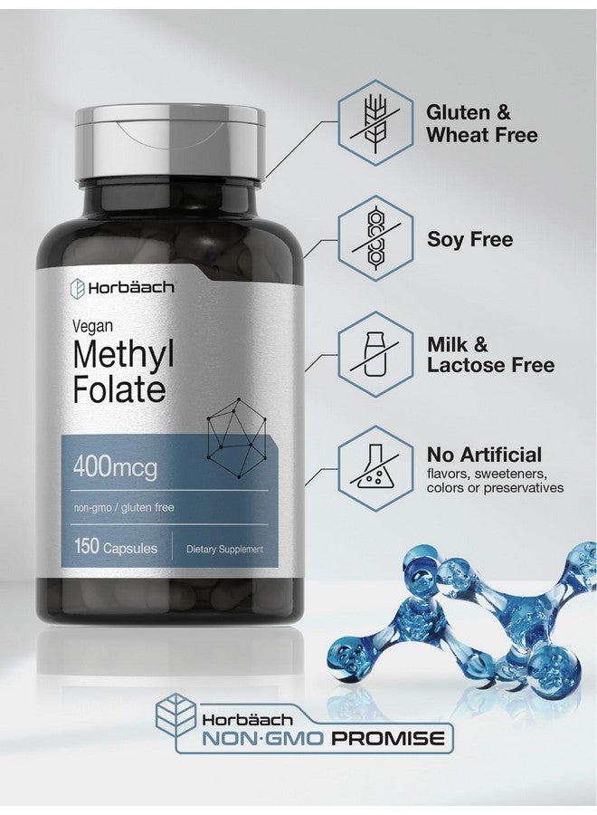 Horbäach Methyl Folate 400 mcg | 150 Vegan Capsules | Non-GMO, Gluten Free | Dietary Supplement - Image 5