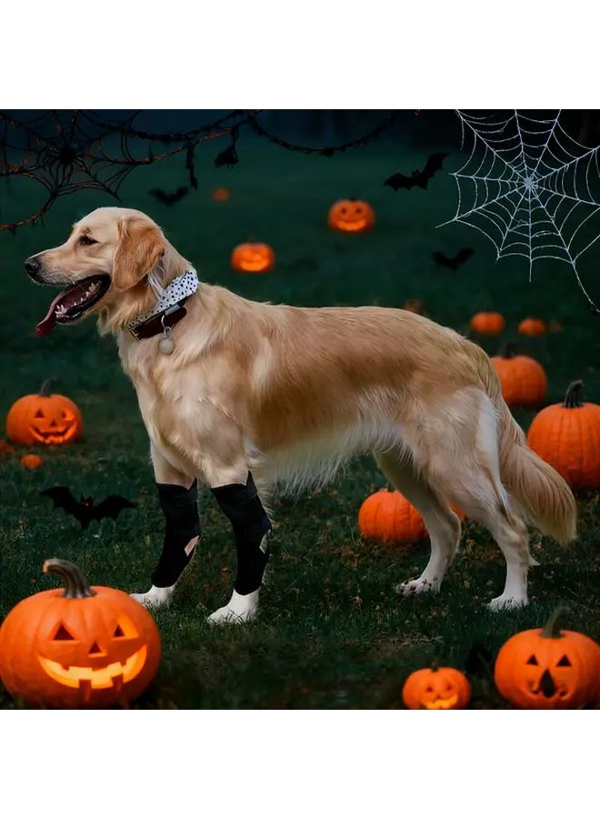 Small Dog Rear Leg Compression Sleeve Adjustable Joint Support Breathable Brace - Image 5