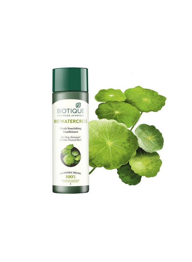 Biotique Bio Watercress Fresh Nourishing Conditioner For Dry Damaged Color Treated And Perm 120 Ml - Image 3