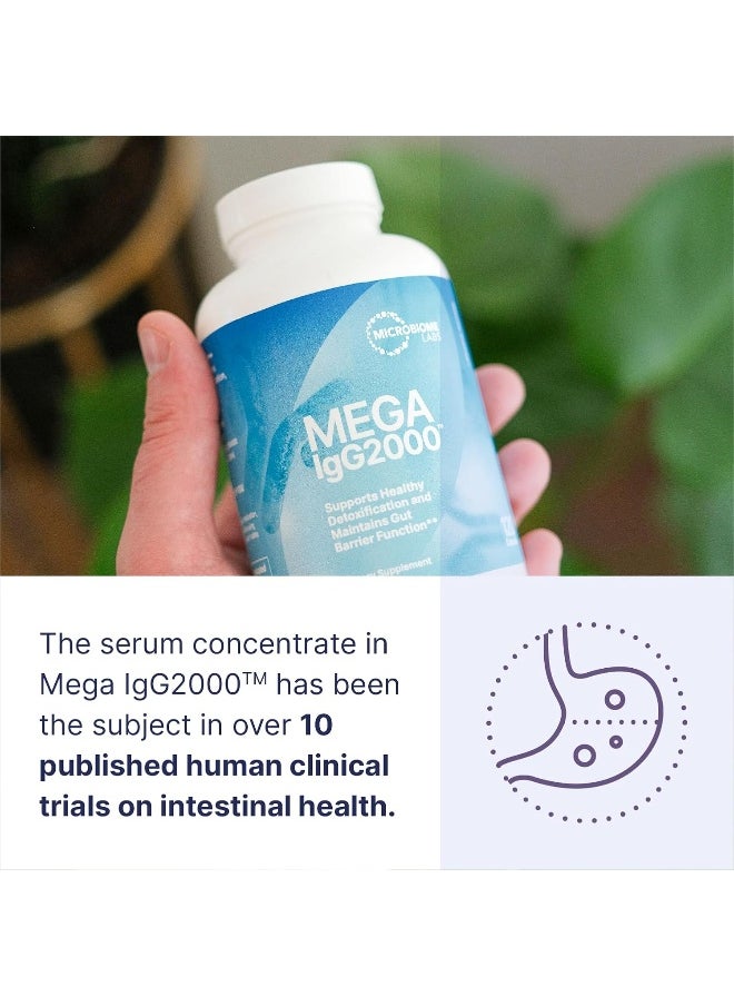 Microbiome Labs Mega Igg2000 - Dairy-Free Bovine Serum Capsules - High Concentration Immunoglobulin Supplements To Support Digestive Health, Gut Health & Detox - Casein & Lactose-Free (120 Count)  - Image 4