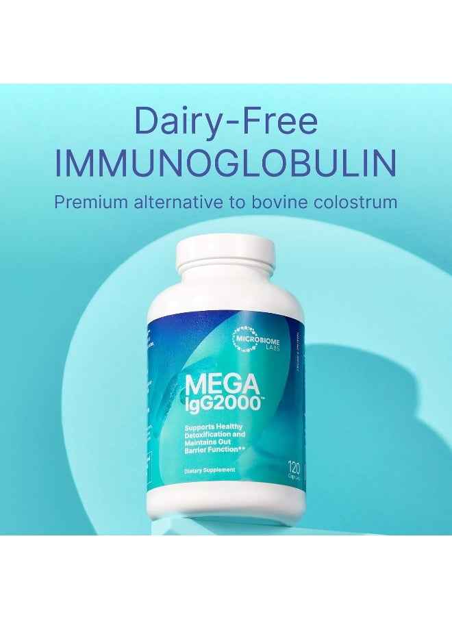 Microbiome Labs Mega Igg2000 - Dairy-Free Bovine Serum Capsules - High Concentration Immunoglobulin Supplements To Support Digestive Health, Gut Health & Detox - Casein & Lactose-Free (120 Count)  - Image 2