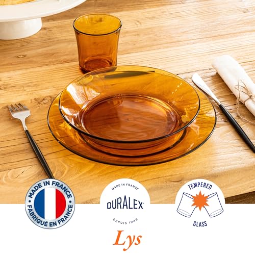 Duralex 3007DF06 Set of 6 Bowls Glass Vermeil 19.5cm - Image 3