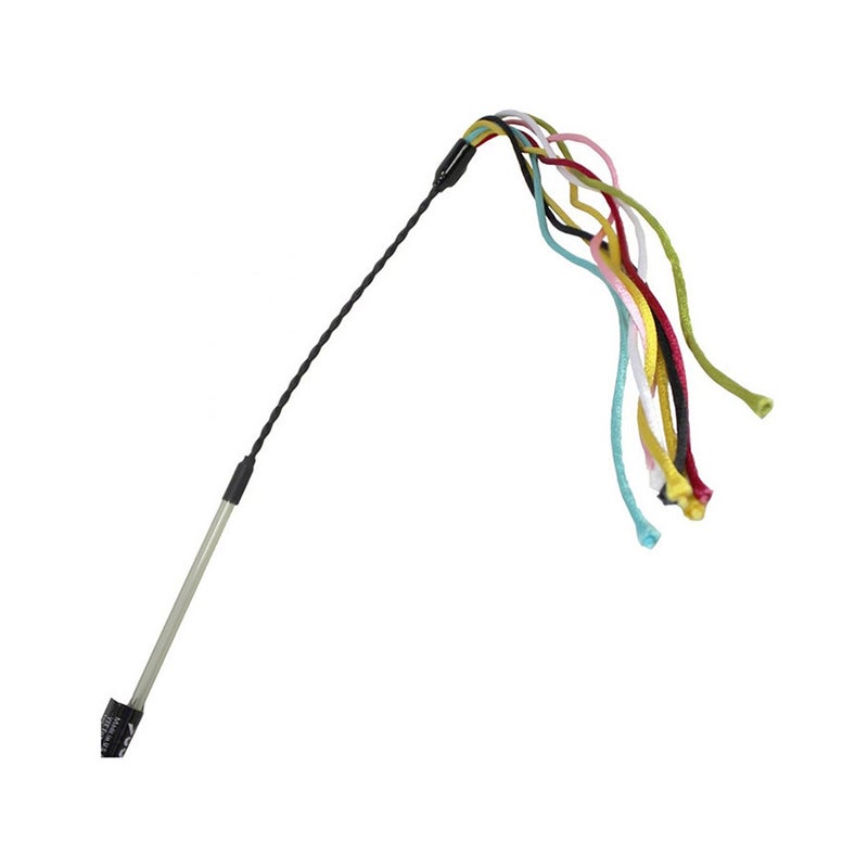 في لعبة للمطاردة للقطط من في بيرفكت