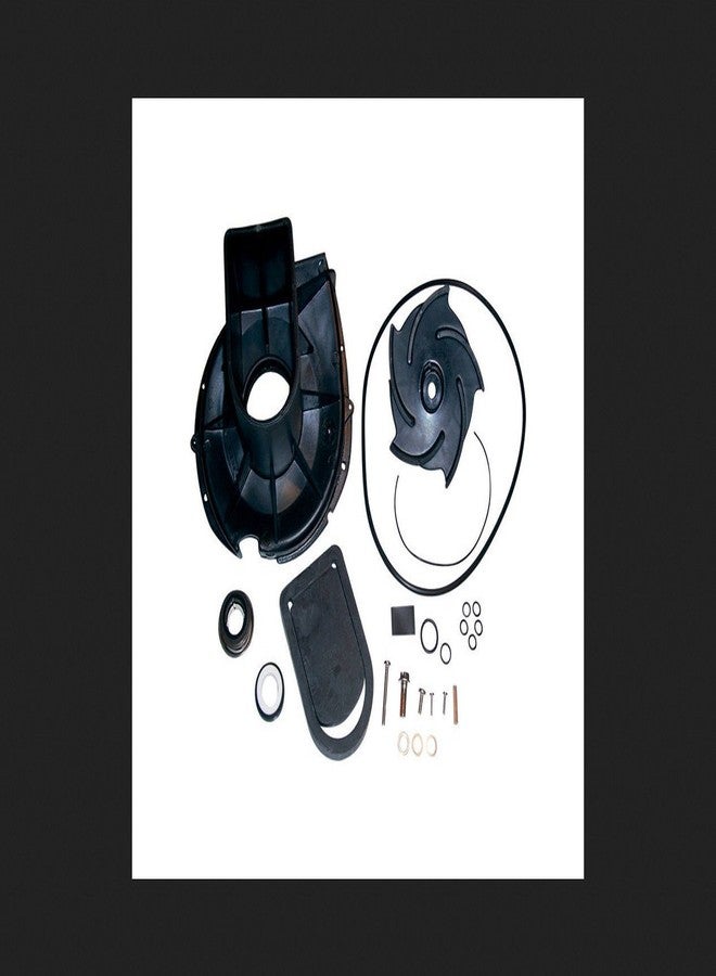 PACER PUMPS, DIV. OF ASM IND P-58-702EP-U 5Vane Pump Re-Build Kit - Image 1