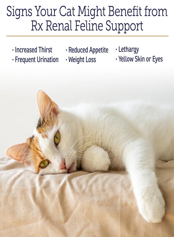 ركس فيتامينز فيتامينات آر إكس رينال للقطط - دعم كلى القطط مع شوك الحليب - مضاد للالتهابات للقطط - يعزز صحة مضادات الأكسدة لدى القطط ويدعم صحة الكبد - معزز للمناعة - 120 كبسولة - Image 3