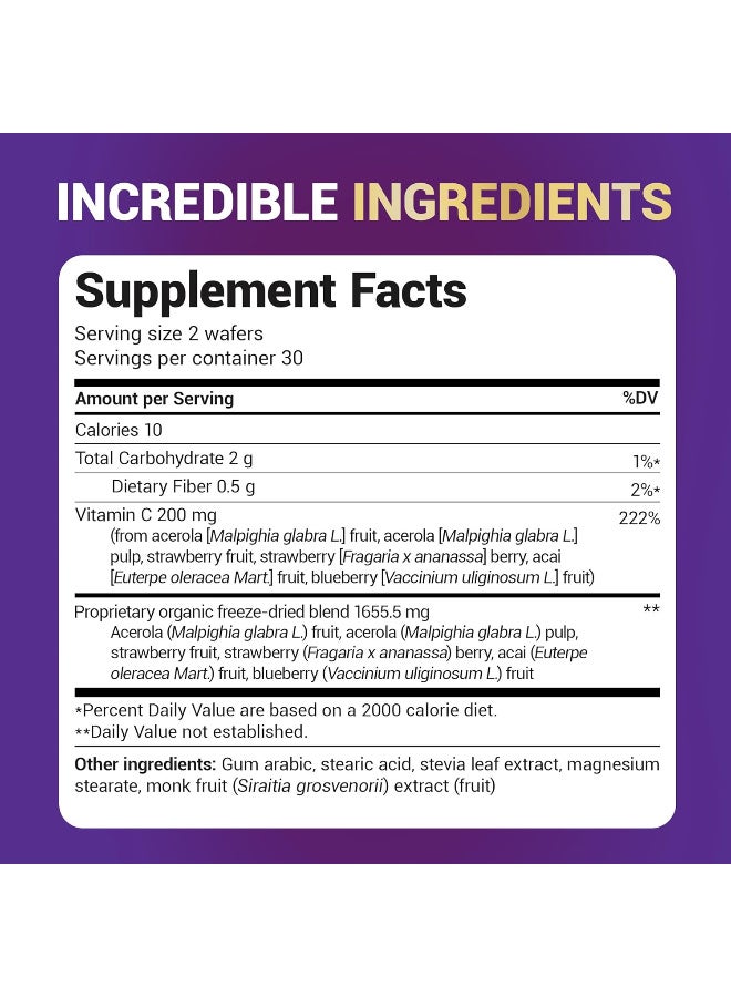 Dr. Berg Nutritional Chewable Vitamin C Complex - Made with Organic, Non-GMO Berries - 60 Delicious Wafers - Image 3