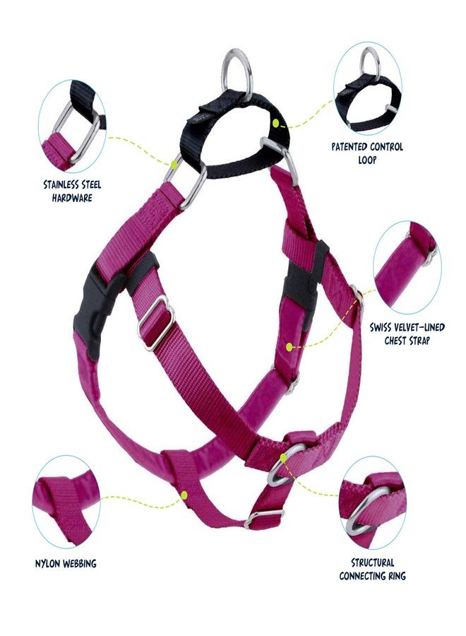 2 Hounds Design Freedom No Pull Dog Harness, Adjustable Harness, Easy Walking & Comfortable Control, Fits Small, Medium & Large Dogs, Solid Colors, Made in USA, 1" LG, Raspberry - Image 2