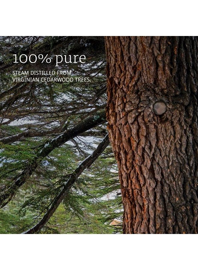 now Cedarwood Oil, 1 Fl Oz (Pack of 2) - Image 3