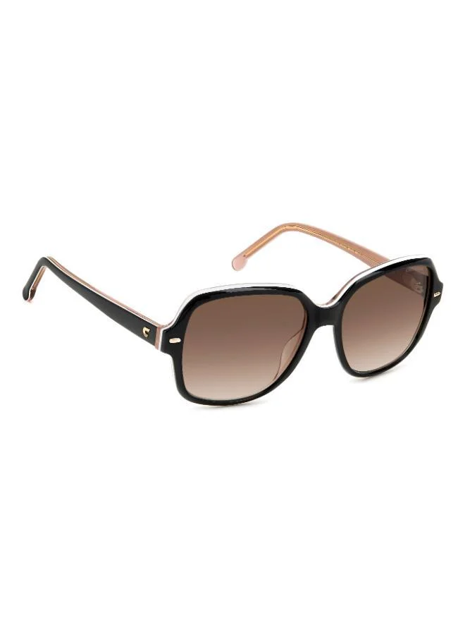 Carrera Wayfarers Sunglasses