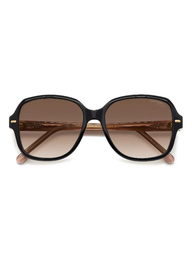 Carrera Wayfarers Sunglasses