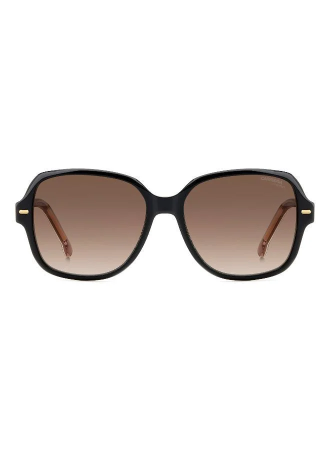 Carrera Wayfarers Sunglasses