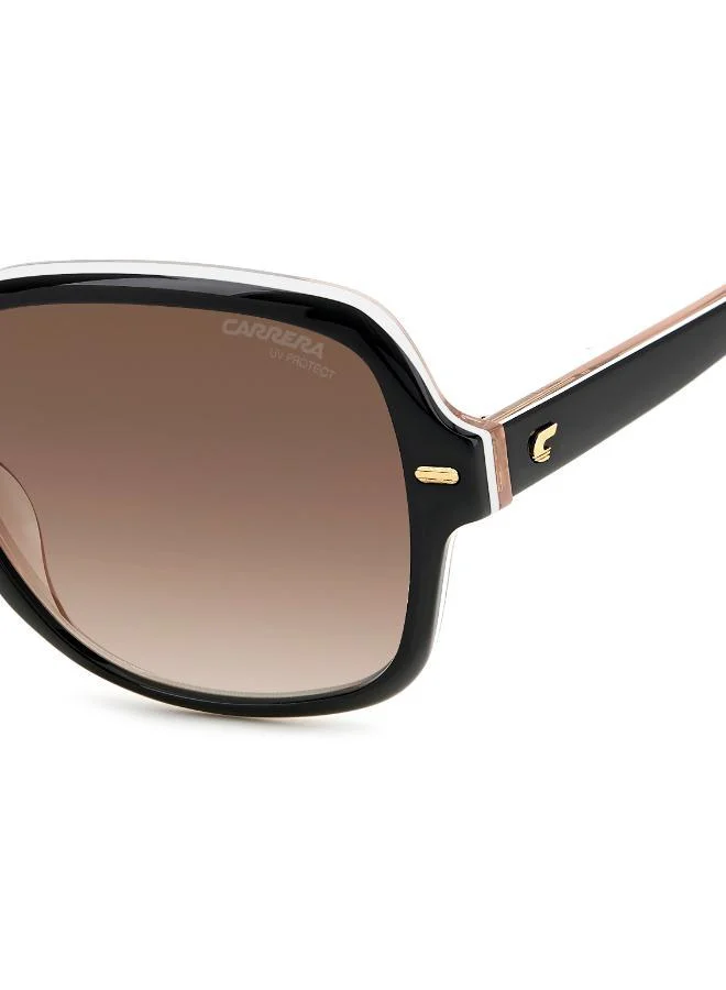 Carrera Wayfarers Sunglasses