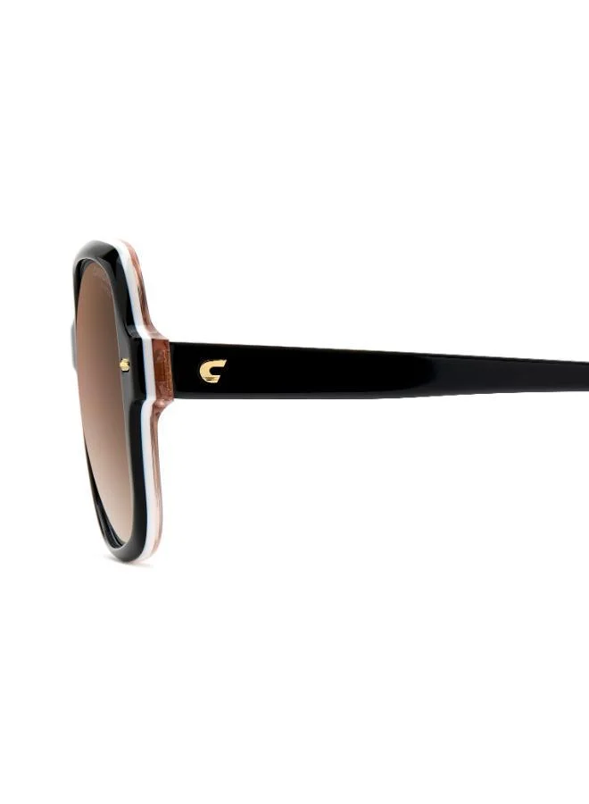 Carrera Wayfarers Sunglasses