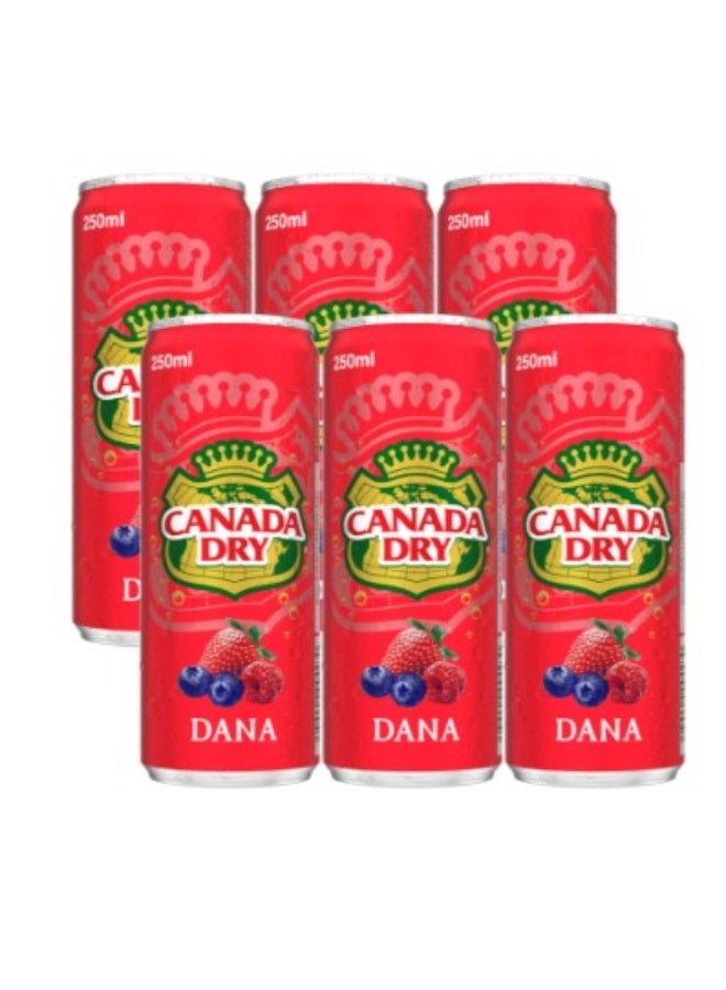 كندا دراي عبوة اقتصادية من مشروب كندا دراي دانا، 6 × 250 مل - Image 1
