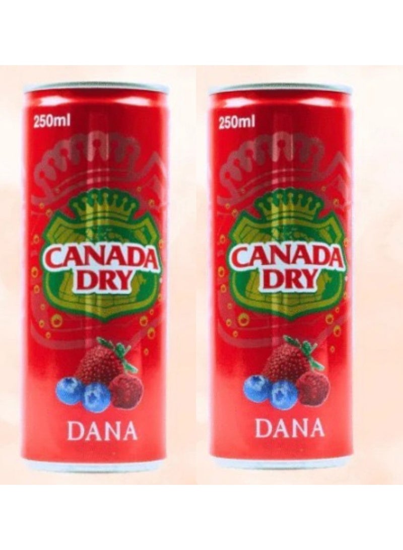 كندا دراي عبوة اقتصادية من مشروب كندا دراي دانا، 6 × 250 مل - Image 2