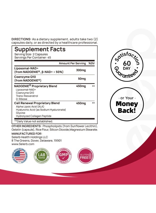 Selerb NAD+ Supplement for Women – 8-in-1 Cellular Vitality, Skin Glow & Healthy Aging – 90 Capsules - Image 5