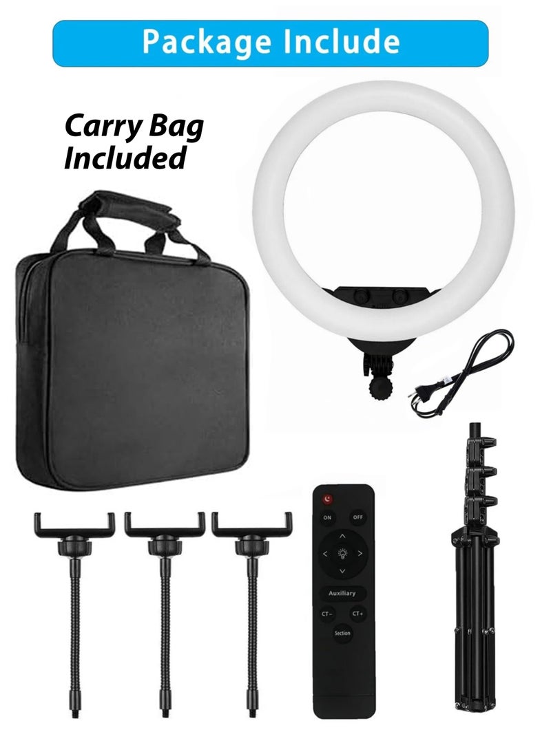 DBLEW - 18 inch Dimmable Circle LED Studio Selfie Ring Light With 90Inch Tripod Stand Remote And 3 Mobile Phone Holders For Makeup Camera Photography YouTube Video Shoot TikTok Vlog Live Stream With Carry Bag - Image 1