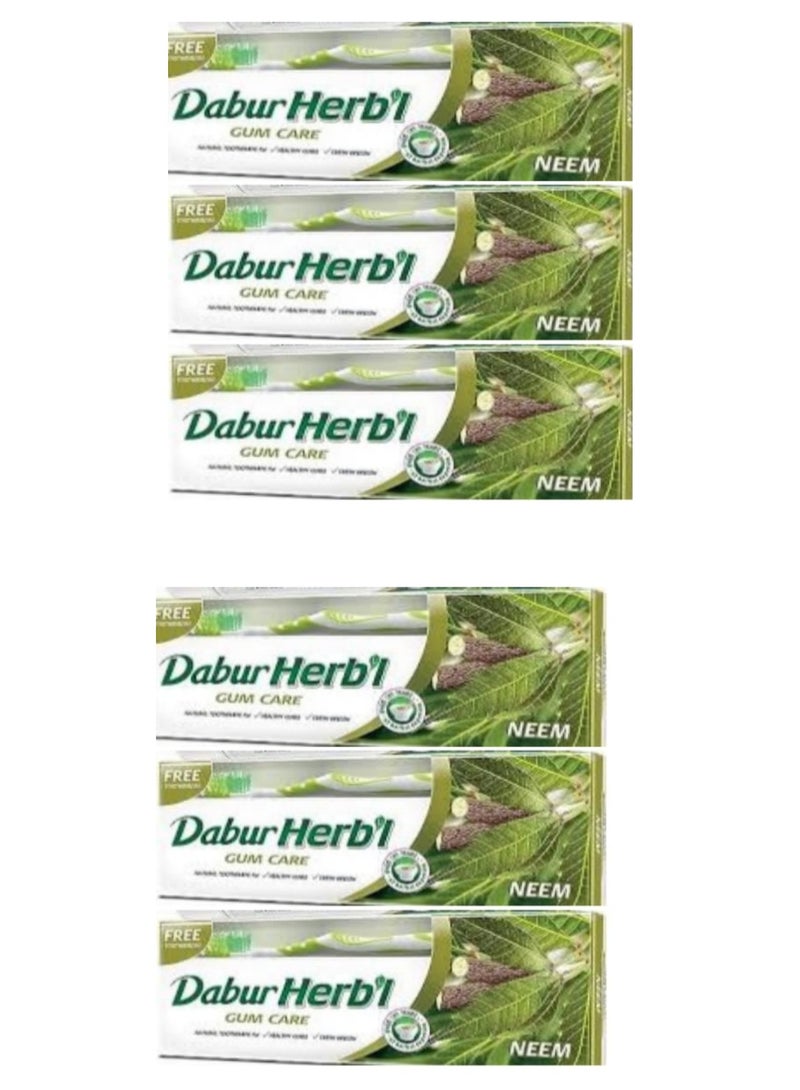 دابر معجون أسنان دابور العشبي الطبيعي بنكهة النيم (عبوة من 6 قطع) - Image 1