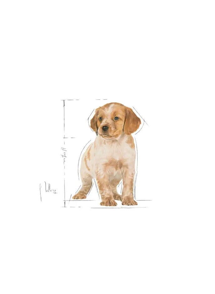 Royal Canin Size Health Nutrition Medium Puppy 4 KG - Image 5