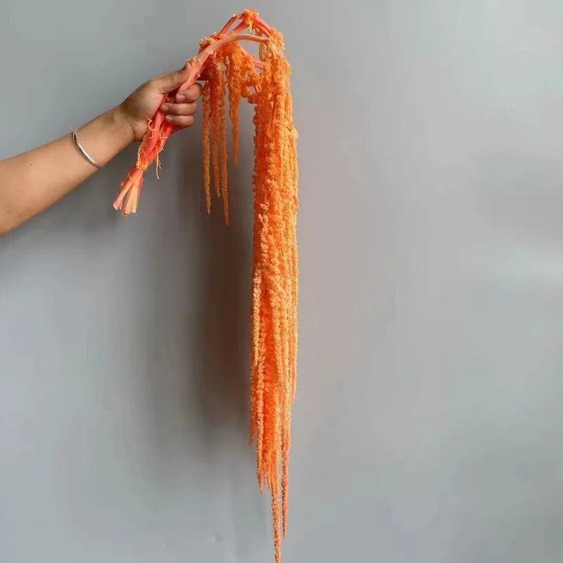 Bluejw New Color Amaranth Dried Plants – Natural Preserved Hanging Amaranthus for High-Quality Wedding Bouquet & Floral Decoration - Image 1