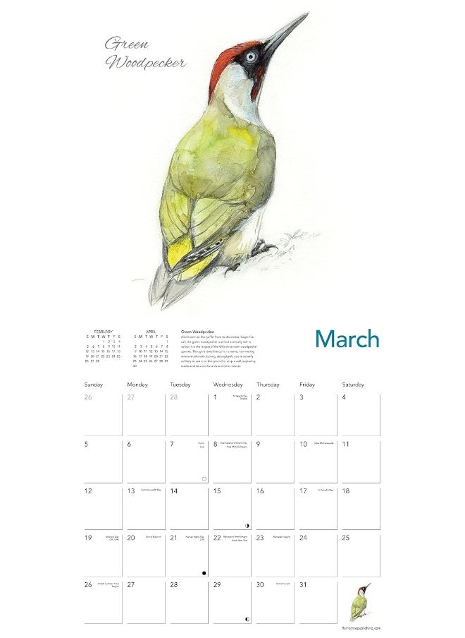 Flame Tree Publishing Chris Pendleton Garden Birds Wall Calendar 2023 (Art Calendar)  - Image 4