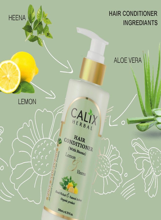 كلاليكس هيربال شامبو كاليكس هيربال العضوي والأيورفيدي بخلاصة الصبار المضاد للقشرة 200 مل + بلسم للشعر (مع الحناء) 200 مل - عناية صحية بالشعر وفروة الرأس - مجموعة متكاملة للعناية بالشعر للرجال والنساء وجميع أنواع الشعر - Image 4