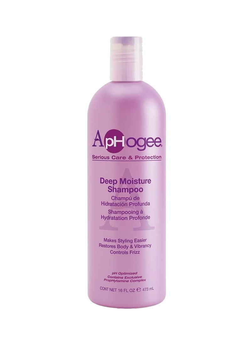 Aphogee Deep Moisture Shampoo, 16 Fl Oz - pzsku/Z1219AB9877D8A157F990Z/45/_/1738062229/0a218484-1021-4137-877b-86d4e165cecf