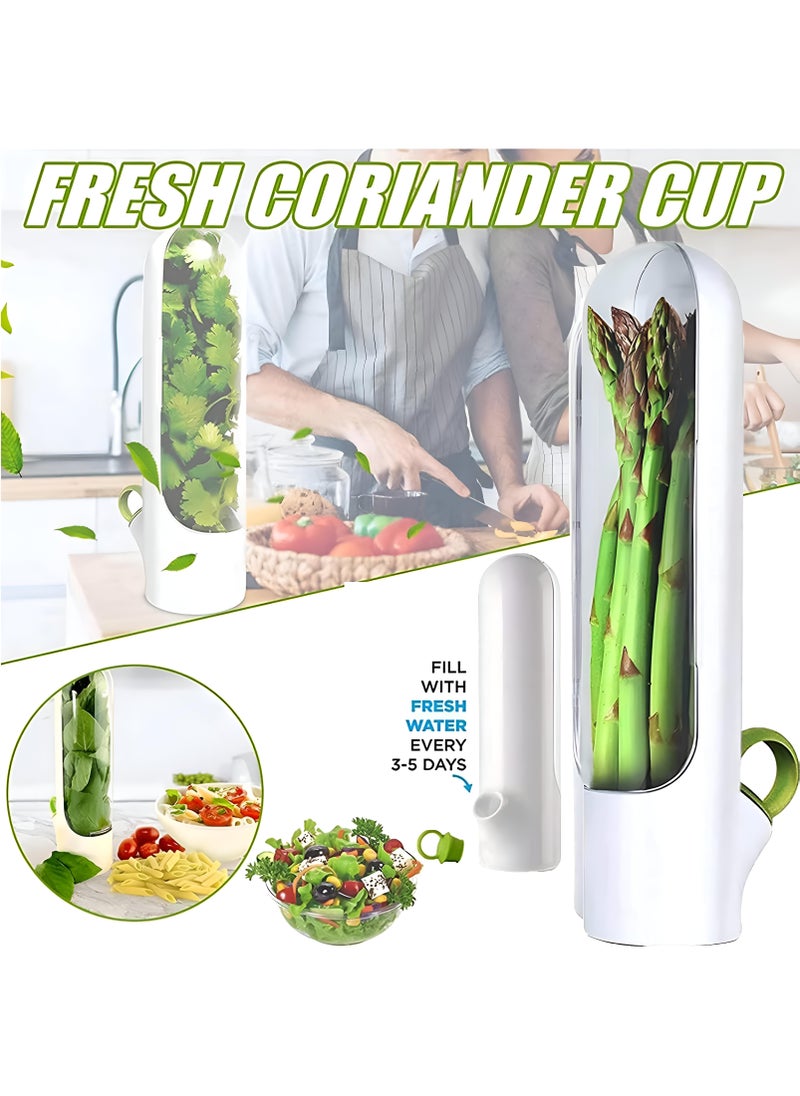 Generic - Innovative Fresh Herb Container For Refrigerator Use - Guarantees Ongoing Growth, A Creative Way To Store And Preserve Herbs Such As Coriander, Parsley, And Anise, Maintaining Freshness Of Vegetables - Image 1