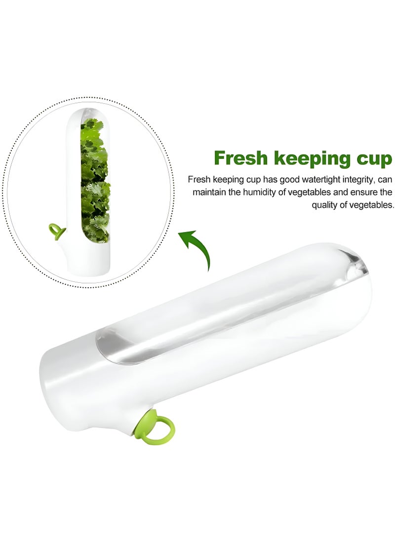 Generic - Innovative Fresh Herb Container For Refrigerator Use - Guarantees Ongoing Growth, A Creative Way To Store And Preserve Herbs Such As Coriander, Parsley, And Anise, Maintaining Freshness Of Vegetables - Image 1