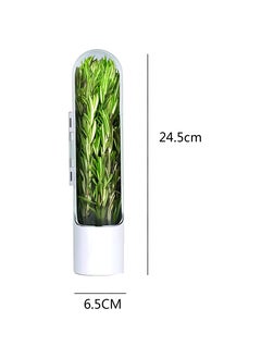 Innovative Fresh Herb Container For Refrigerator Use - Guarantees Ongoing Growth, A Creative Way To Store And Preserve Herbs Such As Coriander, Parsley, And Anise, Maintaining Freshness Of Vegetables - pzsku/Z1219CFAB82FBFE4A386BZ/45/_/1729551669/66184e7a-1599-4858-a350-7c881ebcebac