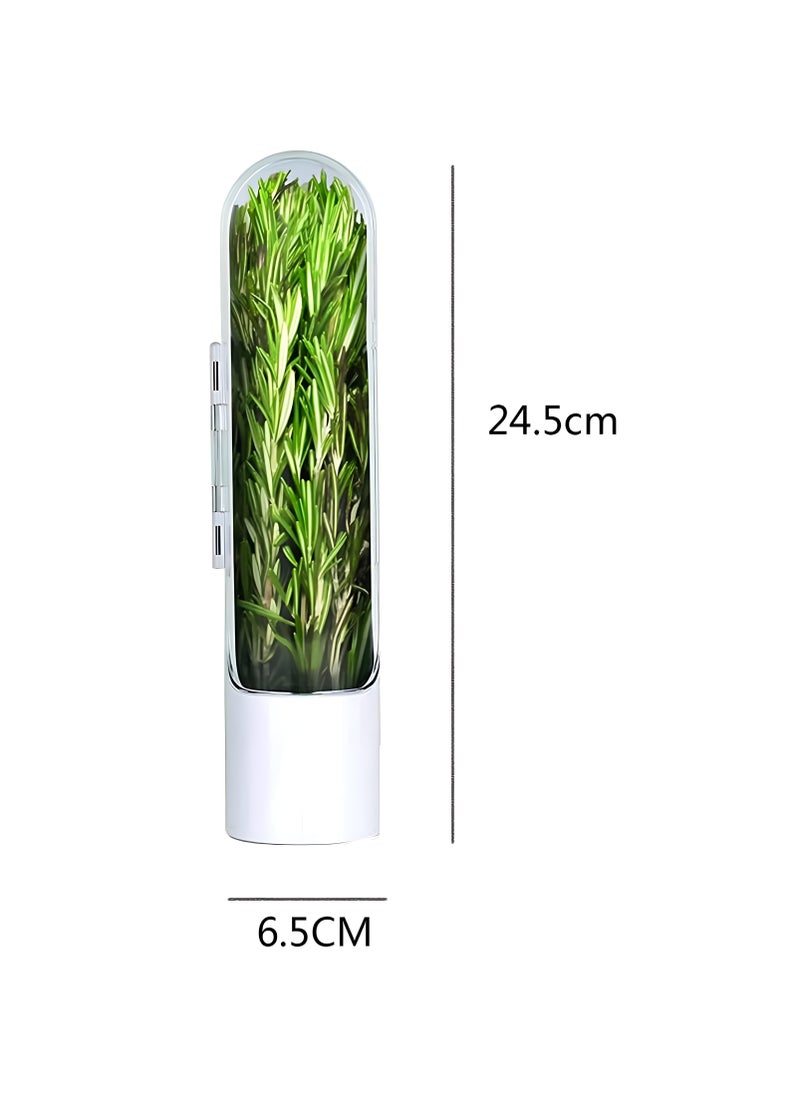 Generic - Innovative Fresh Herb Container For Refrigerator Use - Guarantees Ongoing Growth, A Creative Way To Store And Preserve Herbs Such As Coriander, Parsley, And Anise, Maintaining Freshness Of Vegetables - Image 1