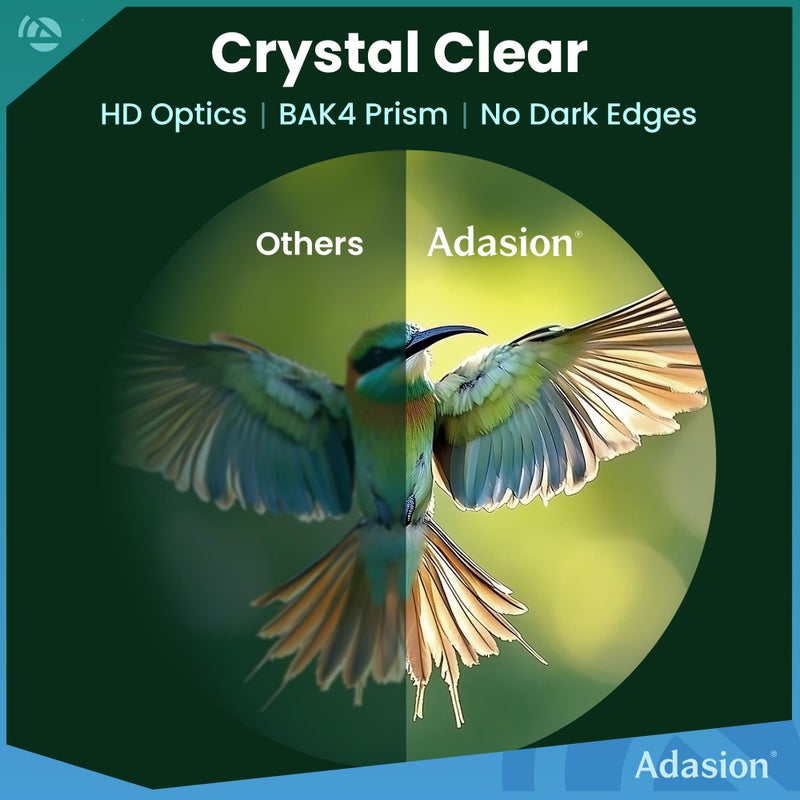 Adasion 8x42 HD Binoculars for Adults High Powered with Phone Adapter and Tripod, Super Bright BAK4 Prism Waterproof Binoculars for Bird Watching Hunting Hiking Safari Travel Sports - Image 2