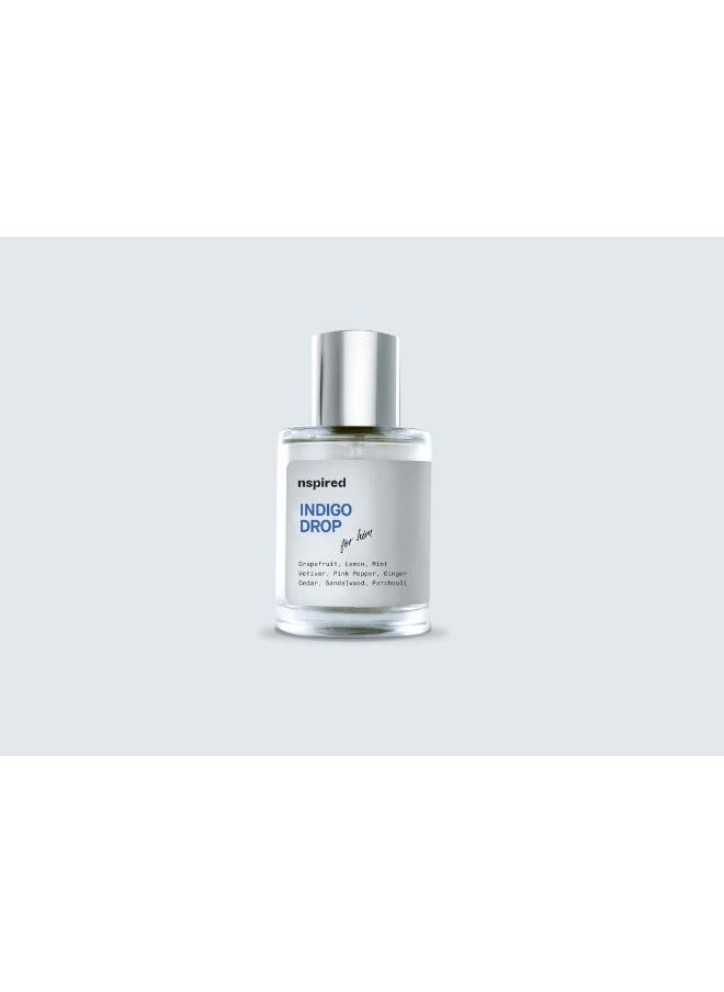 Nspired - Indigo Drop Inspired by Bleu De Chanel For Him EDT 100ml - Image 1