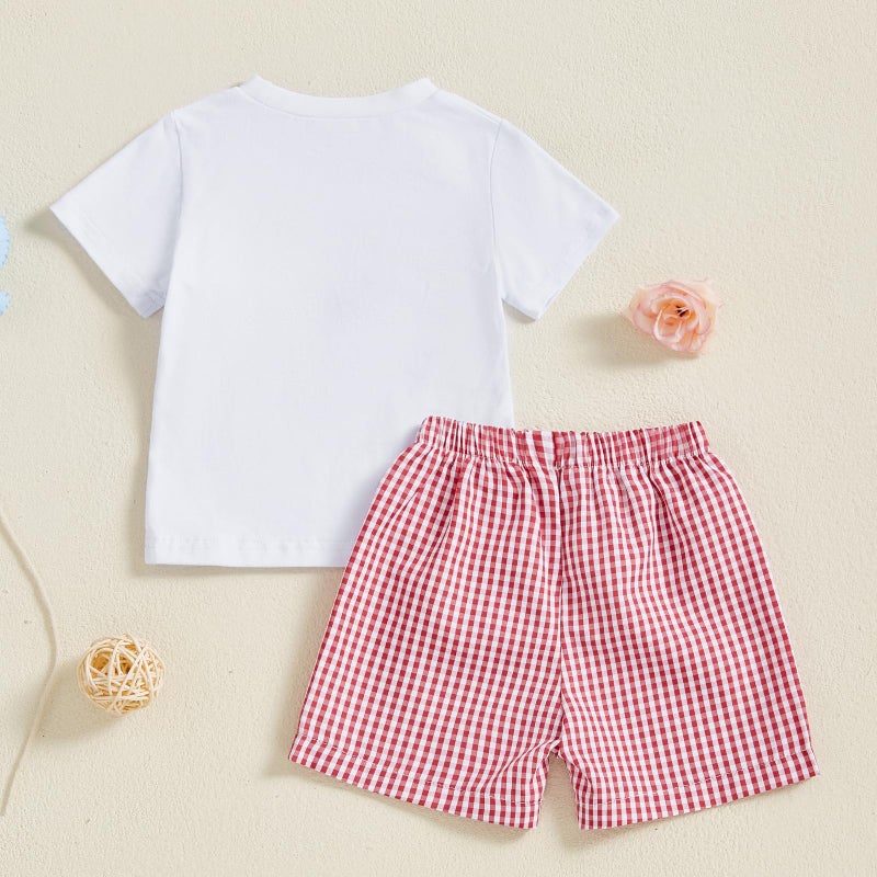 Mobbdow Toddler Baby Boy Birthday Outfit Birthday Boy Embroidery Short Sleeve T-Shirt and Gingham Plaid Shorts Set (White Red, 12-18 Months) - Image 4