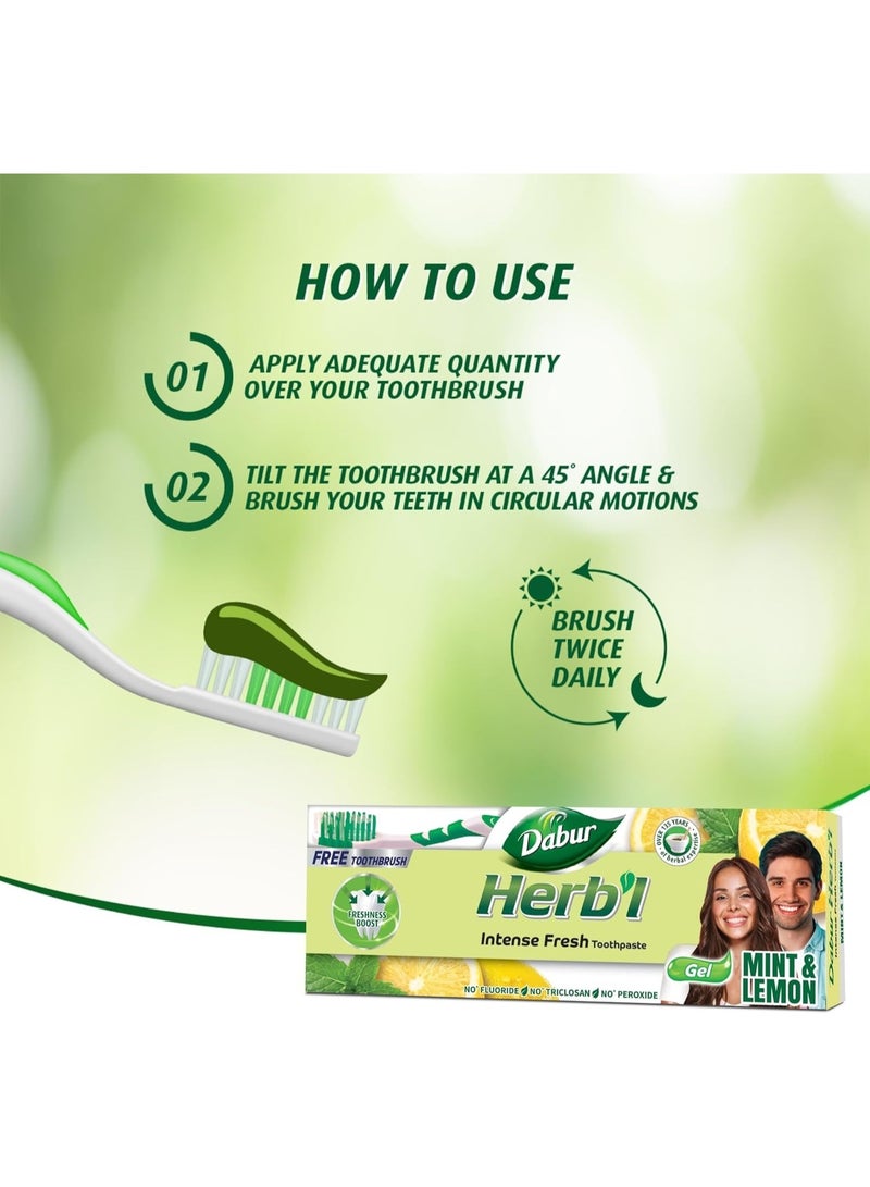 دابر معجون أسنان دابور هيربال إنتنس جل برائحة منعشة (١٥٠ غرام + فرشاة أسنان) | بمزيج من النعناع والليمون | معجون أسنان جل طبيعي لرائحة فم منعشة - Image 4