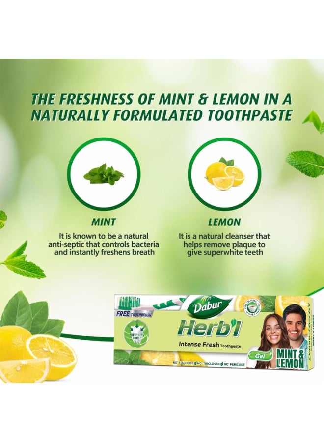 دابر معجون أسنان دابور هيربال إنتنس جل برائحة منعشة (١٥٠ غرام + فرشاة أسنان) | بمزيج من النعناع والليمون | معجون أسنان جل طبيعي لرائحة فم منعشة - Image 3