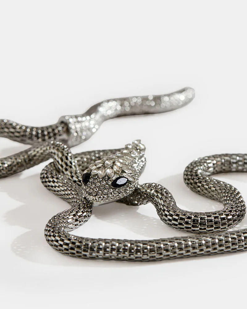 REDTAG Women Silver Snake Necklace And Bracelet Set