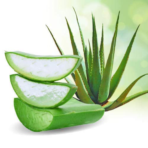 Neotea Aloe Vera Herbal Shampoo afe For All Hair Types Refresing Scent, Smooth Healthy Hair Chemical Free, 250Ml - Image 3