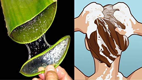 Neotea Aloe Vera Herbal Shampoo afe For All Hair Types Refresing Scent, Smooth Healthy Hair Chemical Free, 250Ml - Image 2