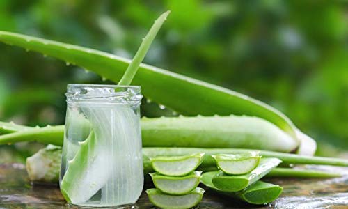 Neotea Aloe Vera Herbal Shampoo afe For All Hair Types Refresing Scent, Smooth Healthy Hair Chemical Free, 250Ml - Image 5