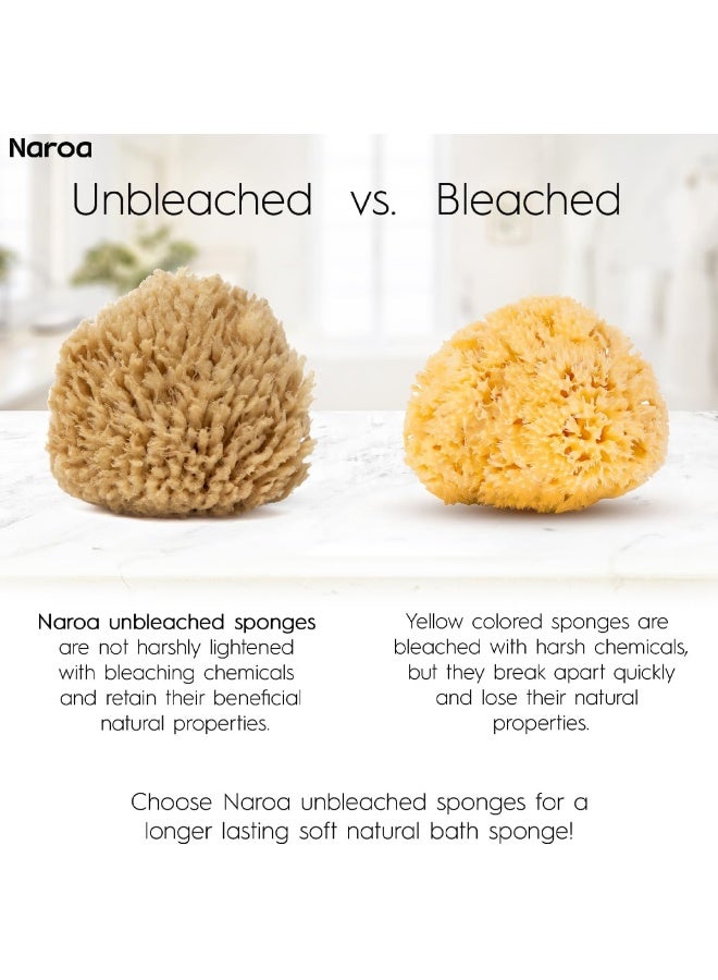 NAROA Natural Baby Bath Sponge in Gift Box | Premium Soft Wool Sea Sponge for Babies | Newborn Bath Time Essentials | Sustainable & Plastic Free (1 Pack) - Image 4