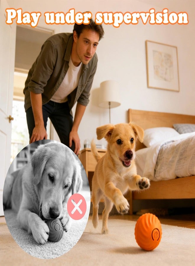 QUELIEN Interactive Dog & Cat Toy Ball, Automatic Moving Pet Toy for Small & Medium Dogs and Cats, USB-C Rechargeable Rolling Indoor Dog Toy for Boredom Relief - Image 5