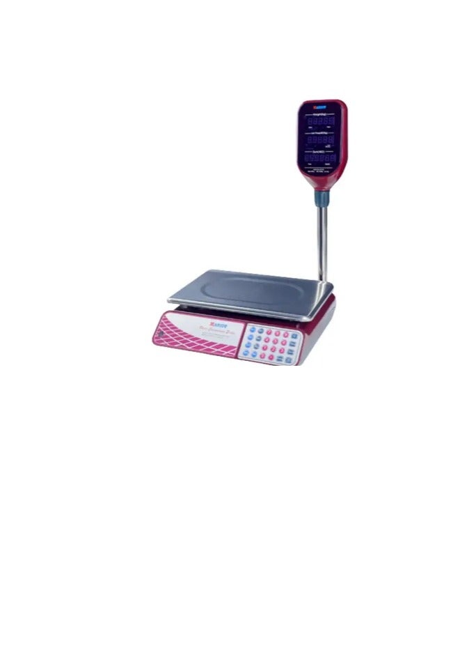 CAMRY Camry Brand Price Computing Digital Scale ACSJE11B (30kg) - Image 1